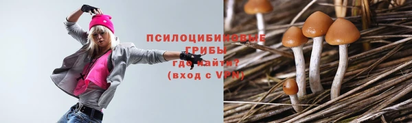 гашик Армянск