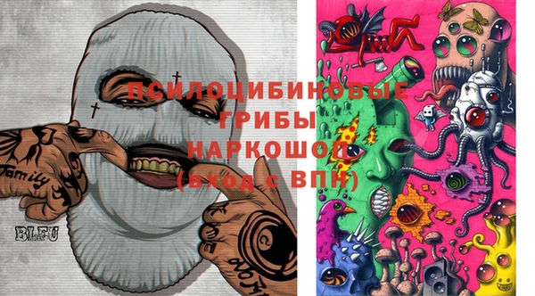 экстази Арсеньев