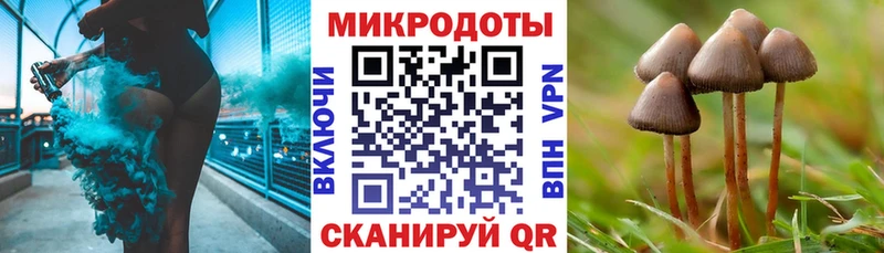 Псилоцибиновые грибы MAGIC MUSHROOMS  купить   Пустошка 
